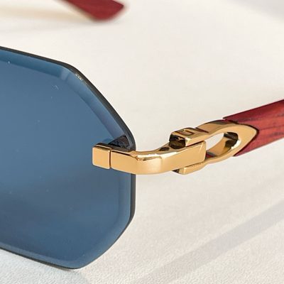 Cartier Sunglasses — 7