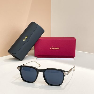 Cartier Sunglasses — 6