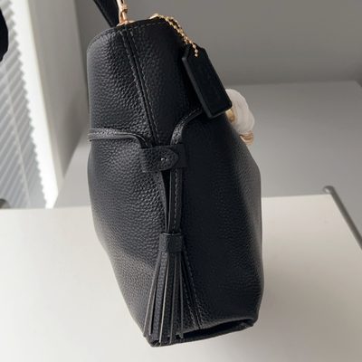 Coach Bag — 5