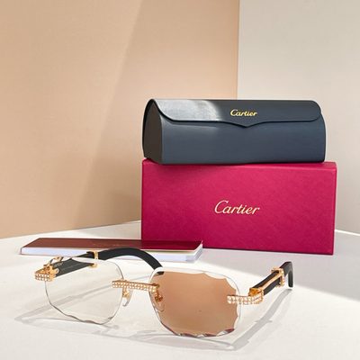 Cartier Sunglasses