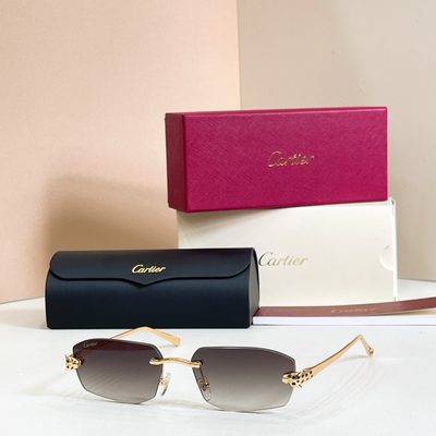 Cartier Sunglasses — 8