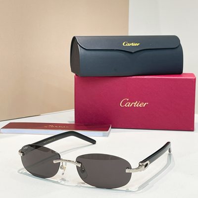 Cartier Sunglasses — 3