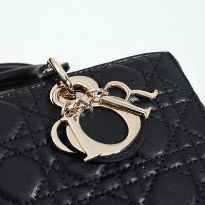 Dior Bag — 4
