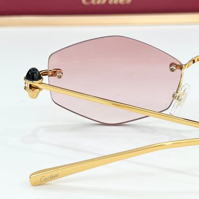 Cartier Sunglasses — 3