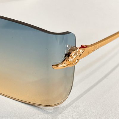Cartier Sunglasses — 7
