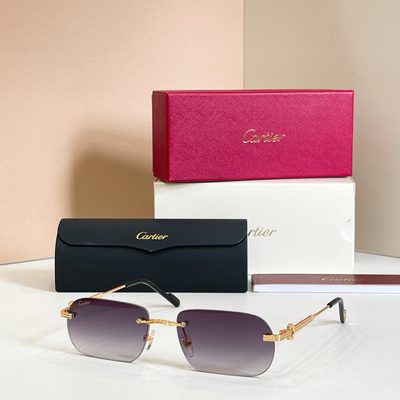 Cartier Sunglasses — 4