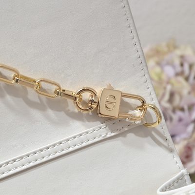 Dior Bag — 5