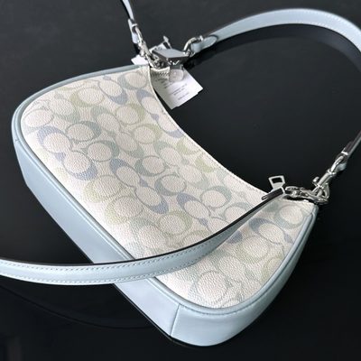 Coach Bag — 6