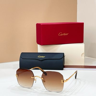Cartier Sunglasses — 3