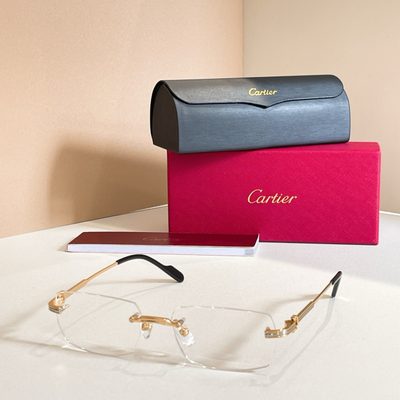 Cartier Sunglasses — 8