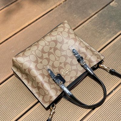 Coach Bag — 5