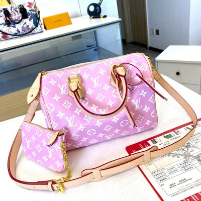 Louis Vuitton Bag — 6