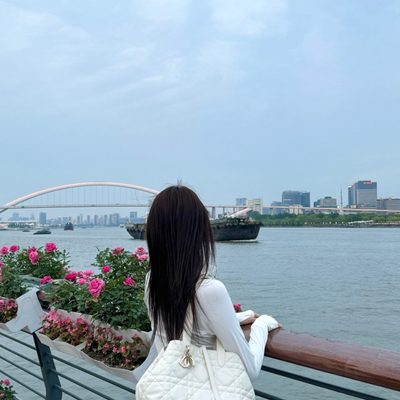 Dior Bag — 7