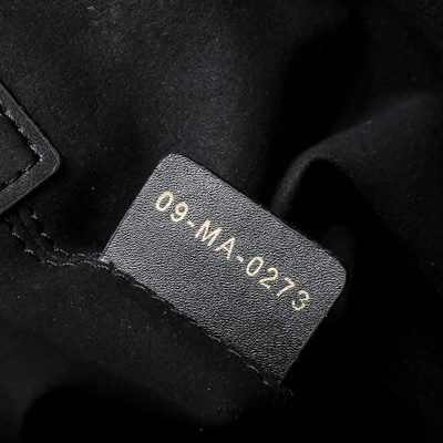Dior Bag — 9