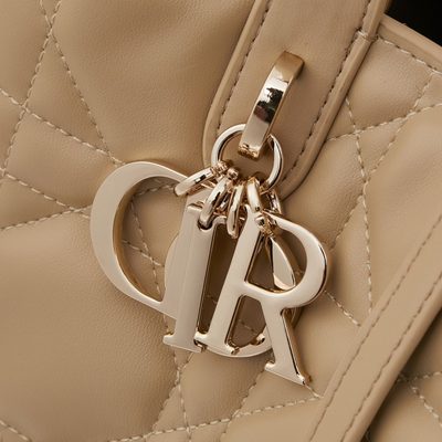 Dior Bag — 3