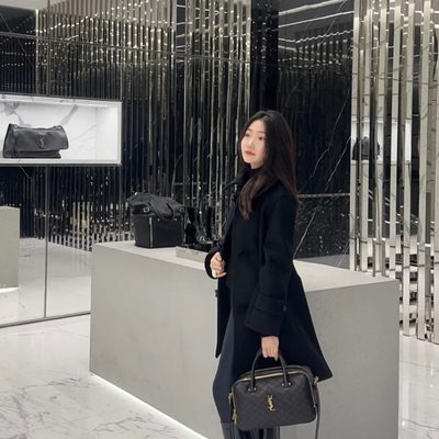 YSL Bag — 7