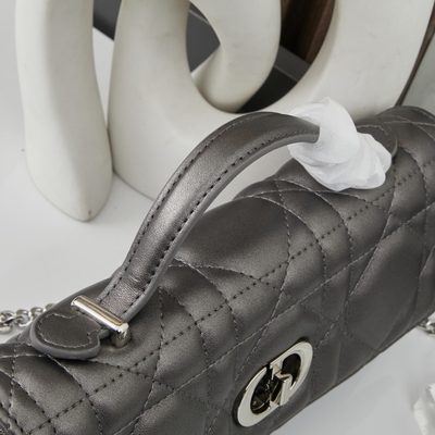 Dior Bag — 7