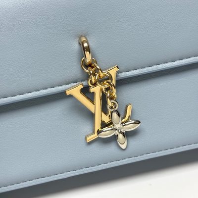 Louis Vuitton Bag — 6