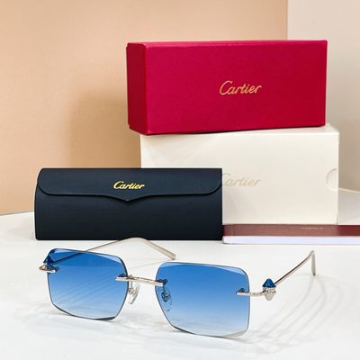Cartier Sunglasses — 6