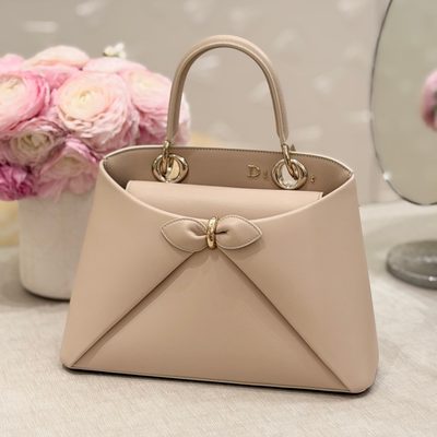 Dior Bag — 6