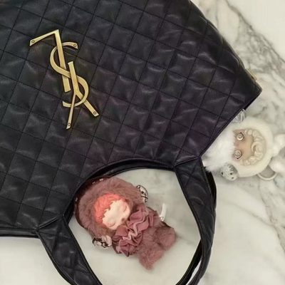 YSL Bag — 5