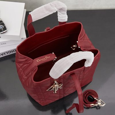 Dior Bag — 9