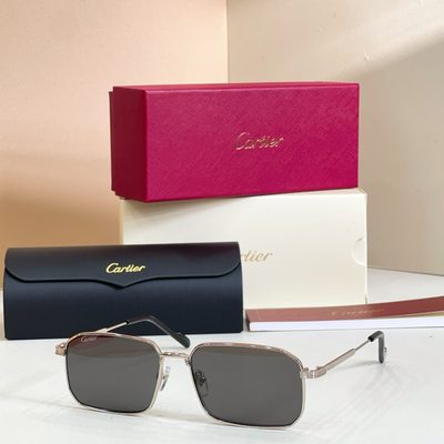 Cartier Sunglasses — 4