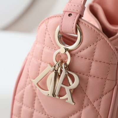 Dior Bag — 6