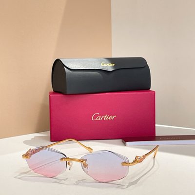 Cartier Sunglasses — 5