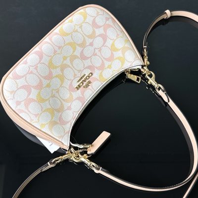 Coach Bag — 3