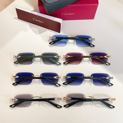 Cartier Sunglasses — 9