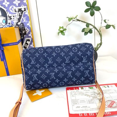 Louis Vuitton Bag — 8
