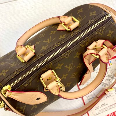Louis Vuitton Bag — 7