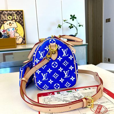 Louis Vuitton Bag — 6