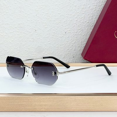 Cartier Sunglasses — 7