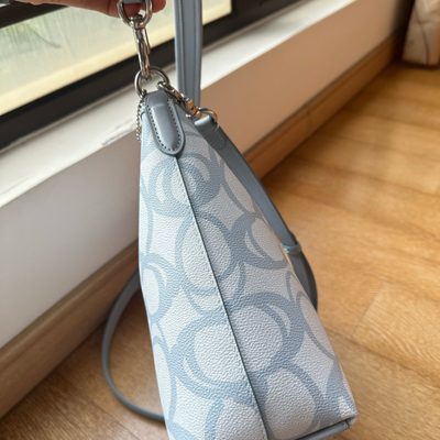 Coach Bag — 5