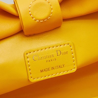 Dior Bag — 8