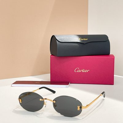 Cartier Sunglasses — 6