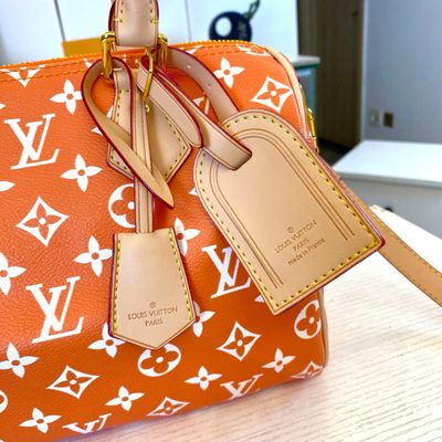 Louis Vuitton Bag — 4