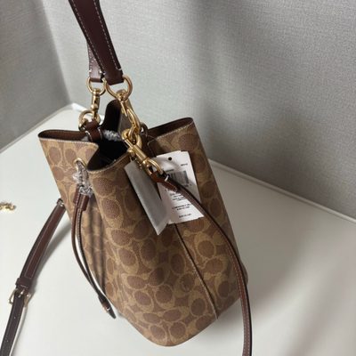 Coach Bag — 5