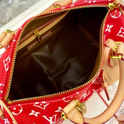 Louis Vuitton Bag — 9