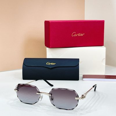 Cartier Sunglasses — 4