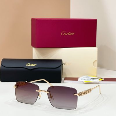 Cartier Sunglasses — 6