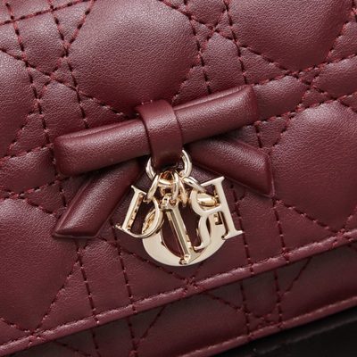 Dior Bag — 5