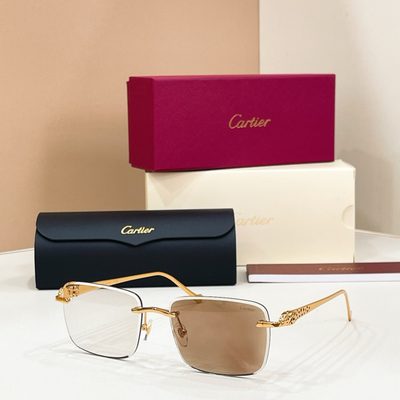 Cartier sunglasses