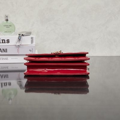 Dior Bag — 4