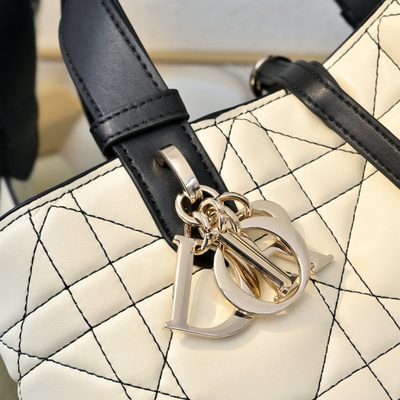 Dior Bag — 4
