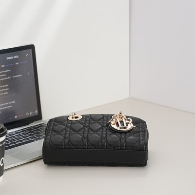 Dior Bag — 6