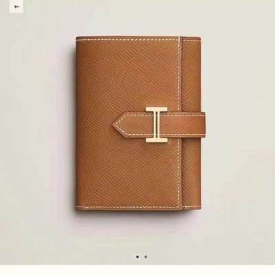 Hermes Bag — 7