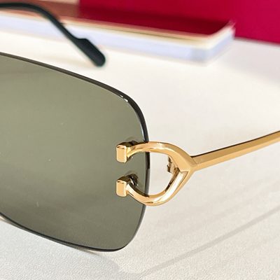 Cartier Sunglasses — 7